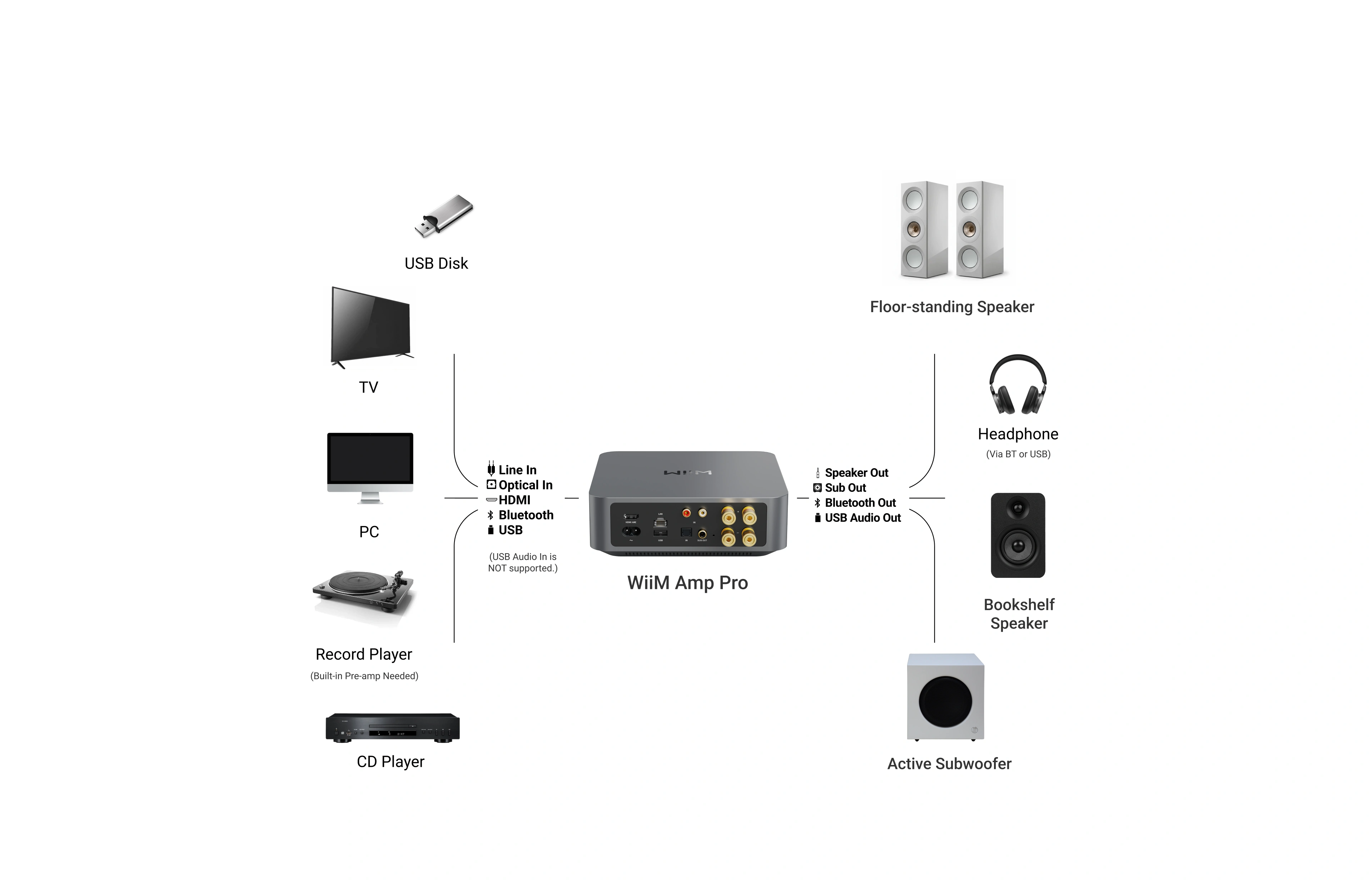 WiiM Amp Pro versatile connectivity