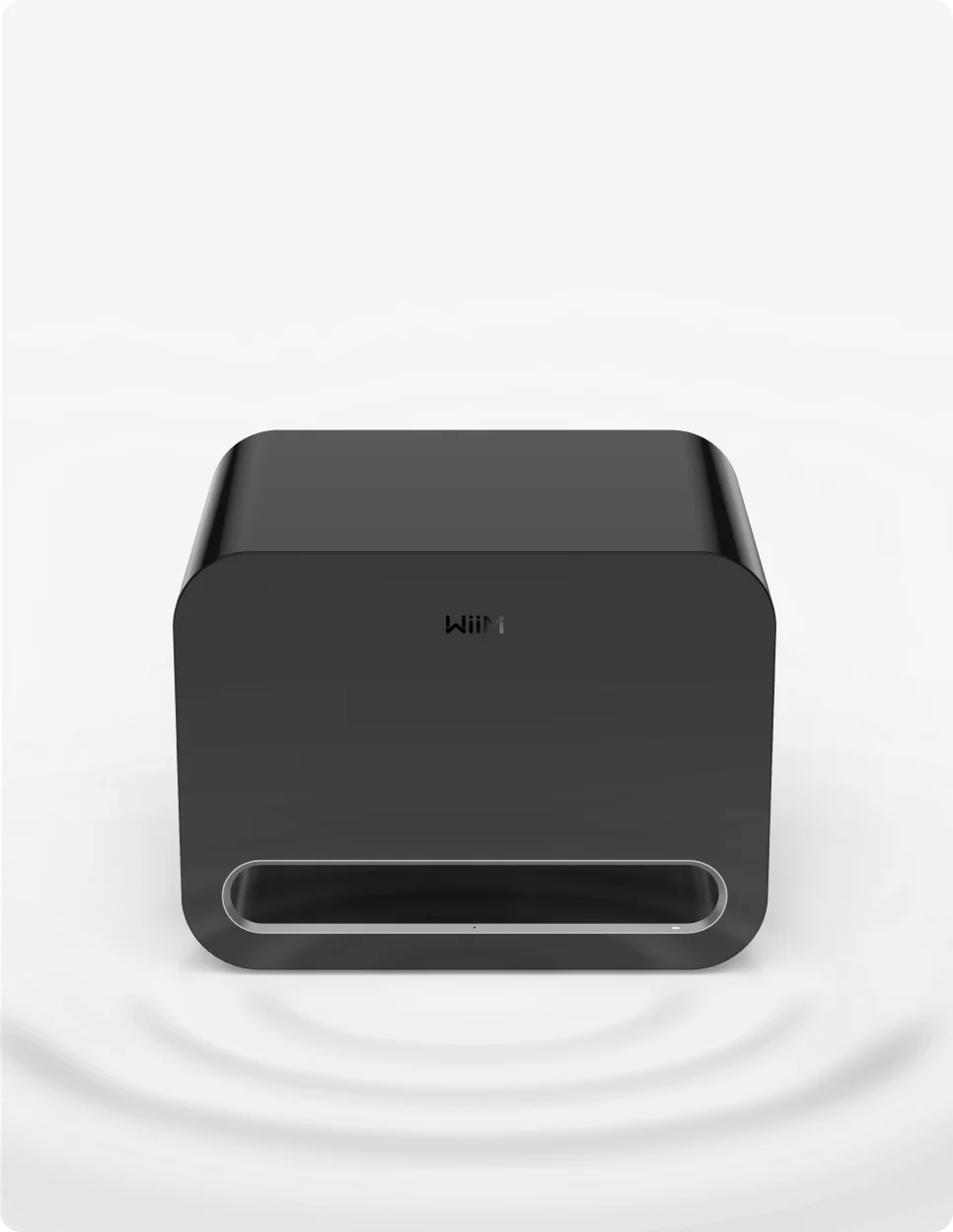 WiiM Sub Pro choose 1
