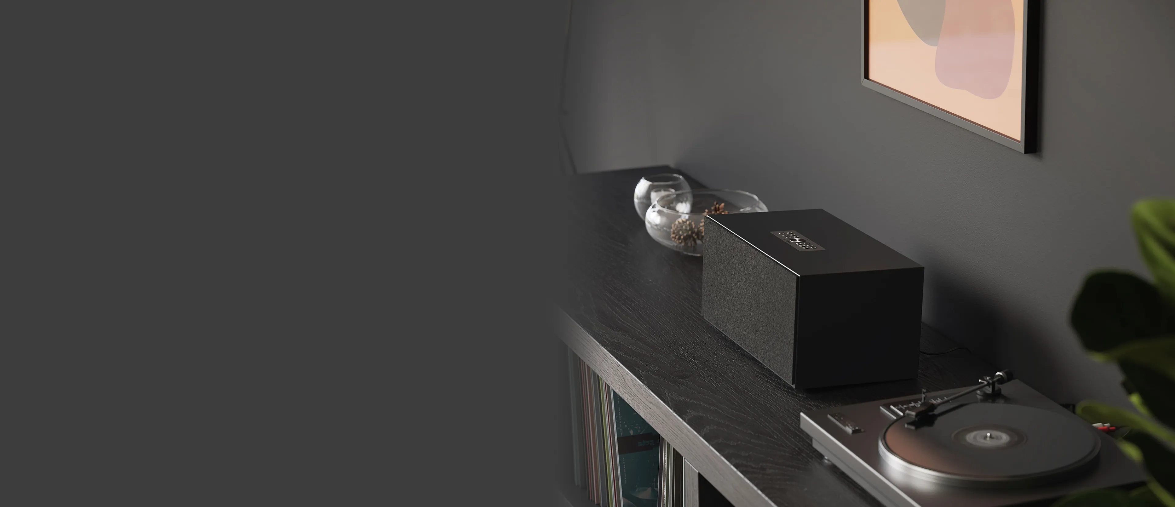 C10 MKII WiiM Edition compact