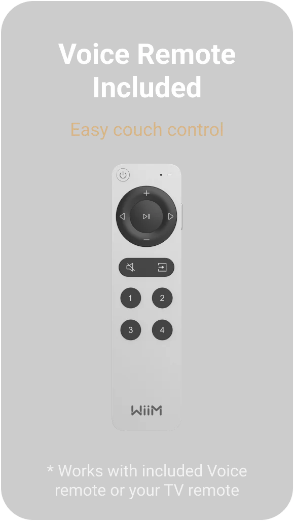Voice Remote - physical controls and voice search