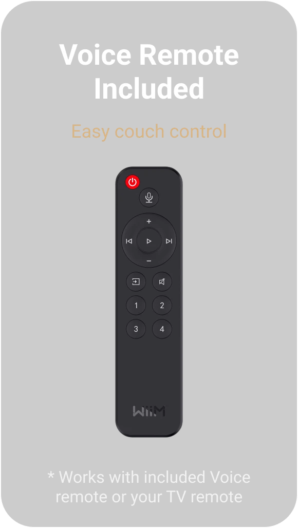 Voice Remote Included