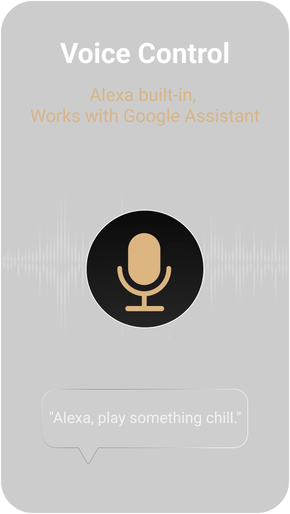 Voice Control