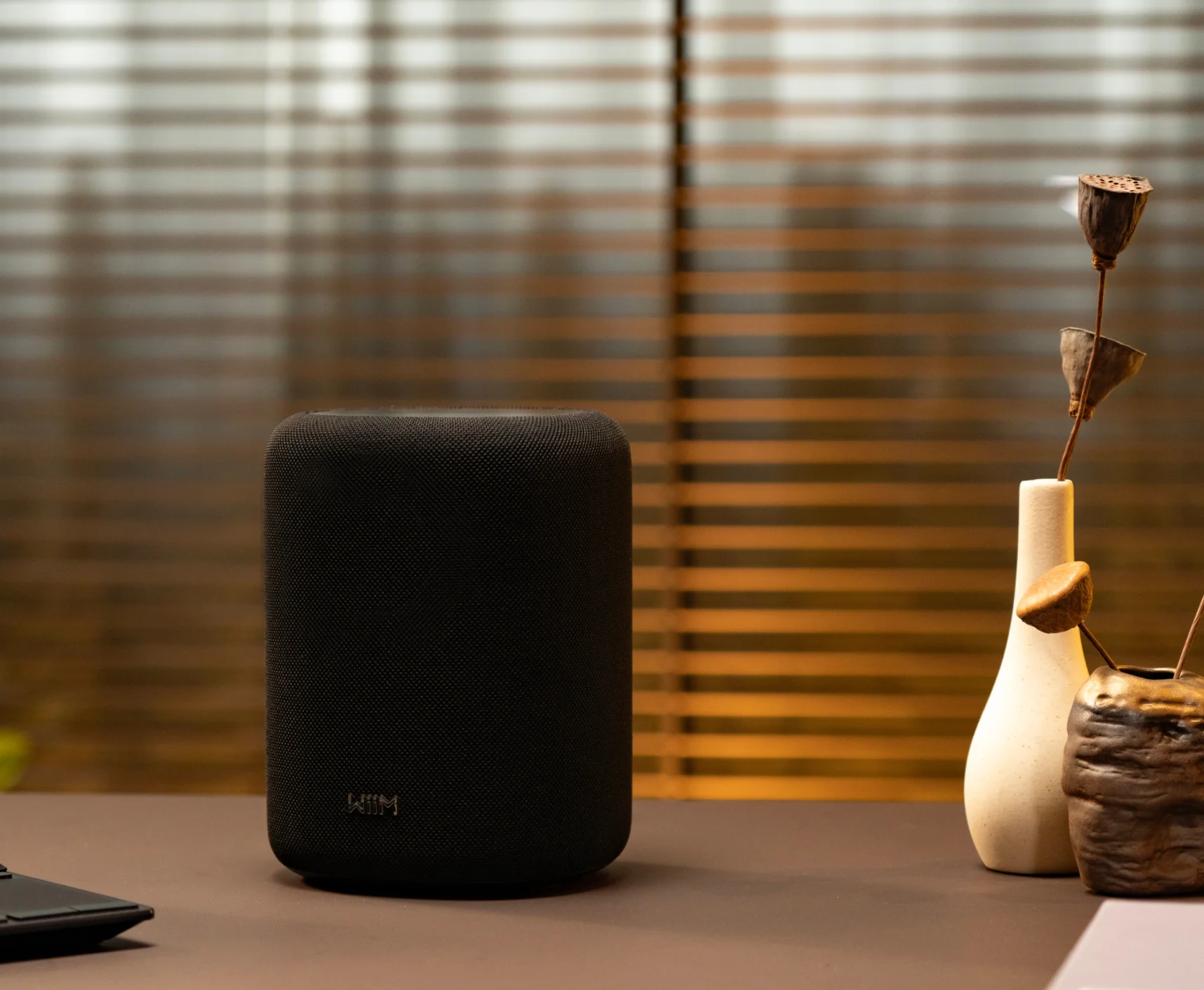 WiiM Sound Lite view 1