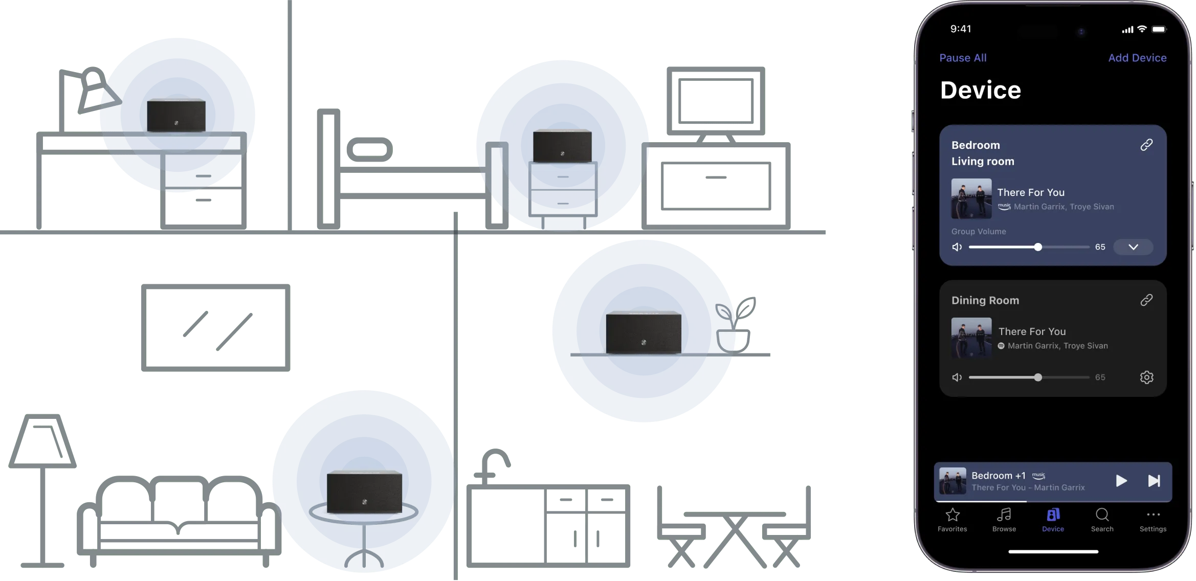 C10 MKII WiiM Edition multi room