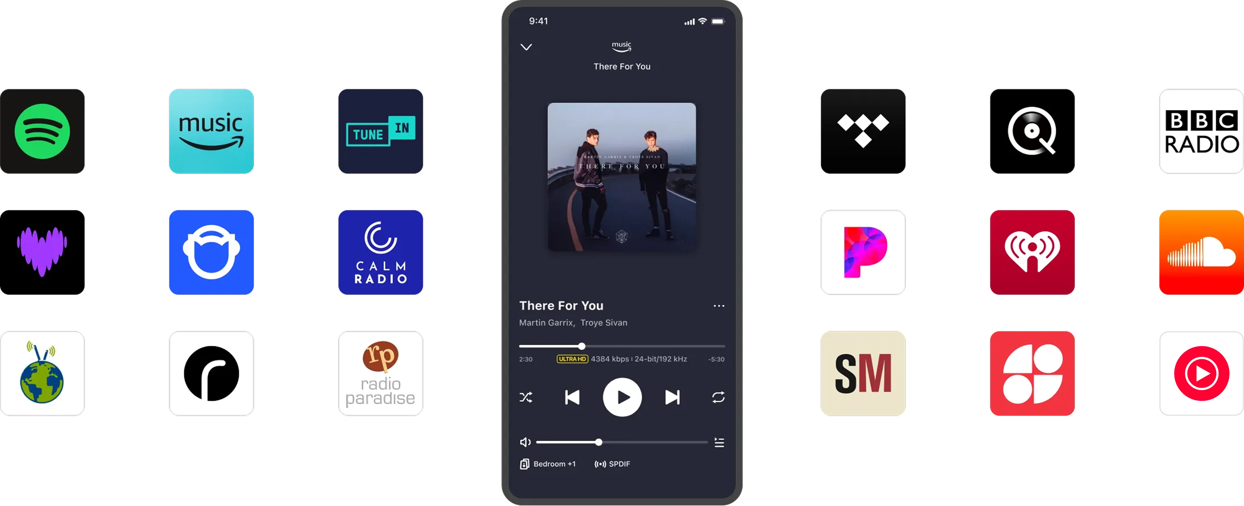 Music services in the WiiM Home App