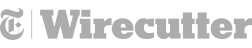theverge comment on WiiM Mini