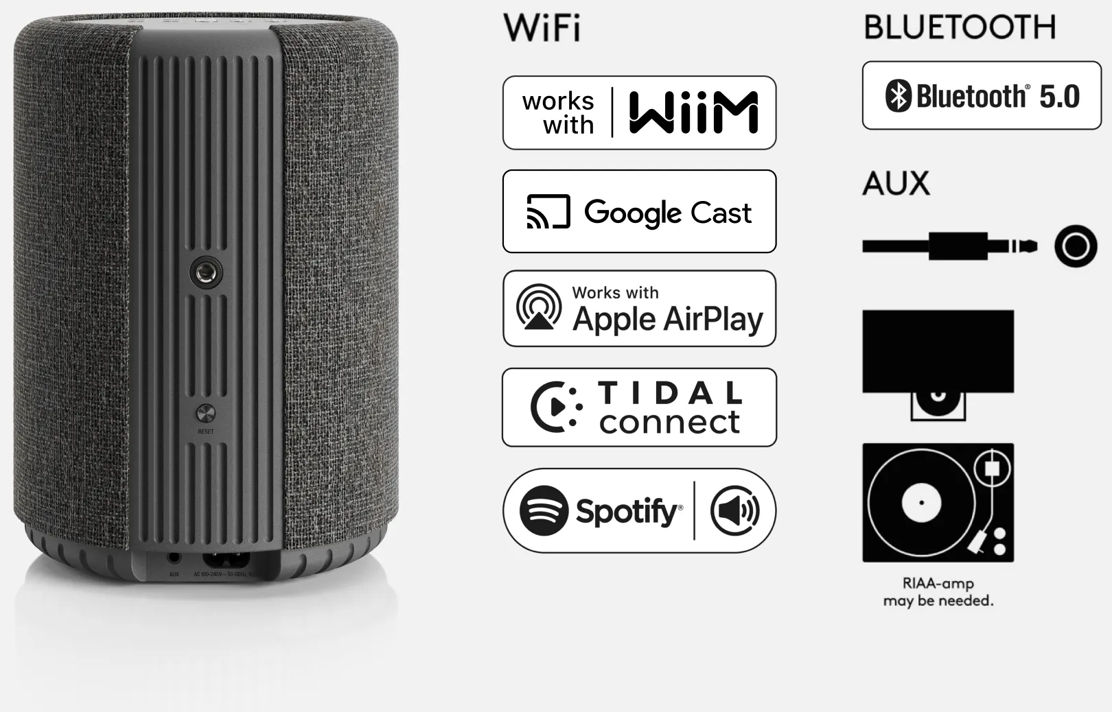 A10 MKII WiiM Edition output
