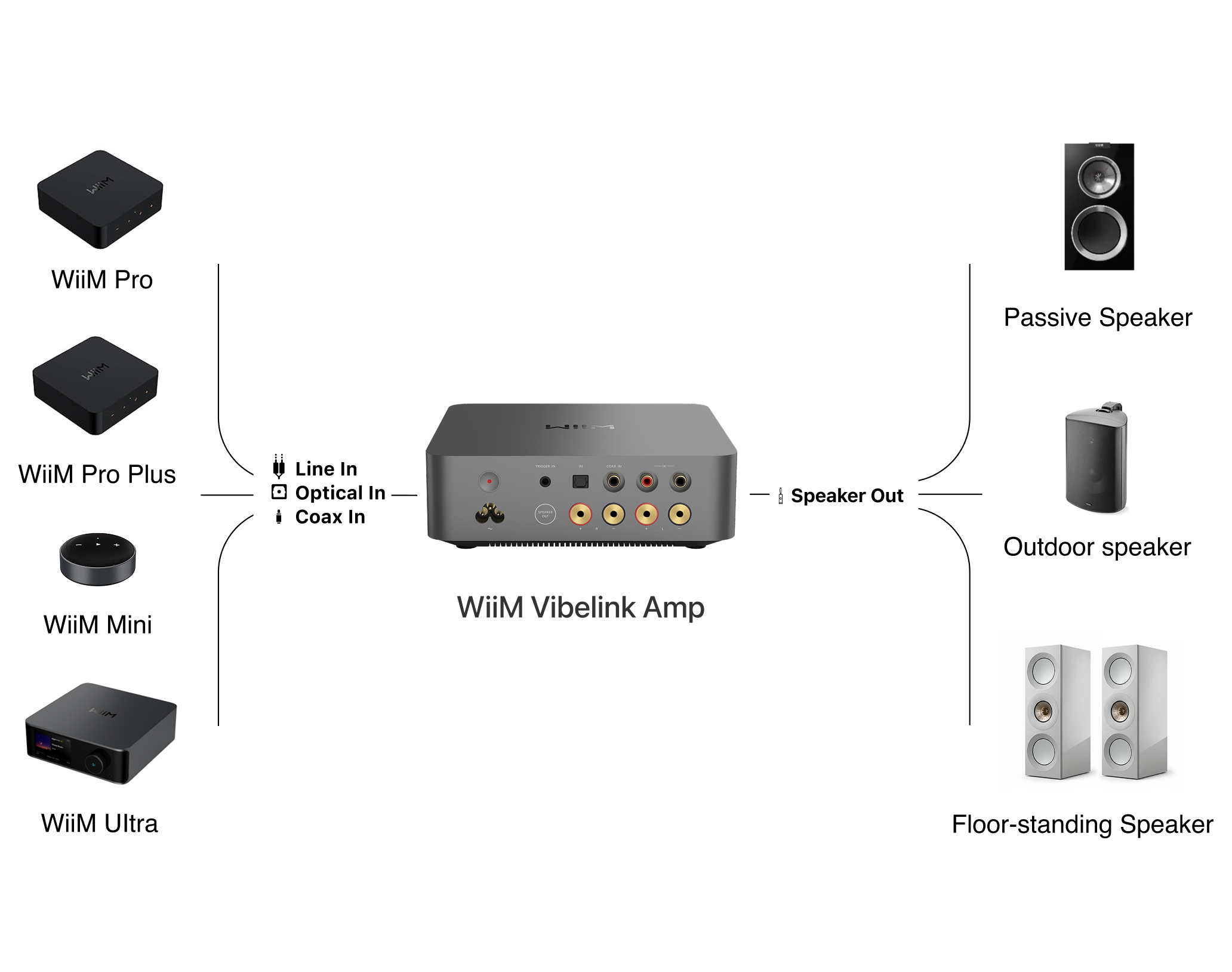 Seamless integration with WiiM ecosystem