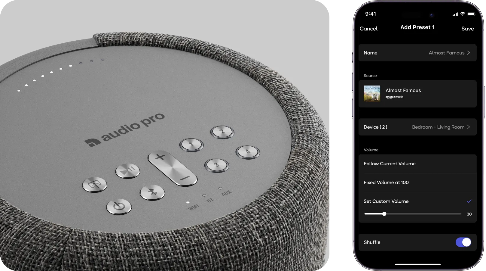 A10 MKII WiiM Edition smart