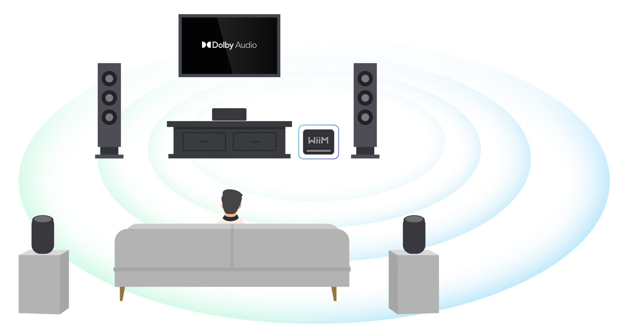 WiiM Sub Pro smart