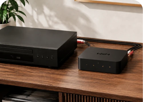 CD player or other analog source