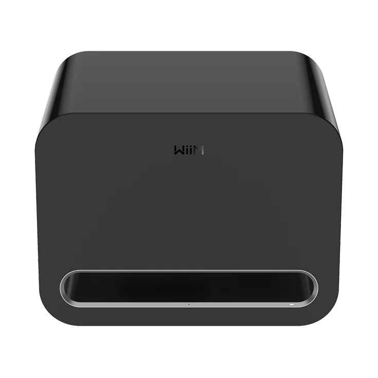 WiiM Sub Pro