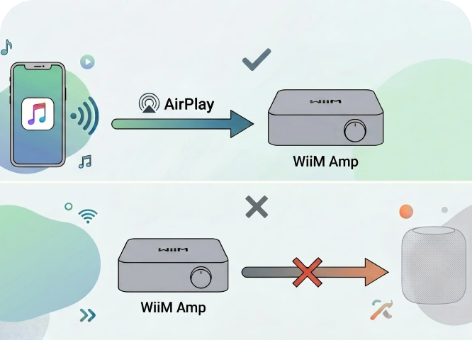 WiiM Amp the best 1