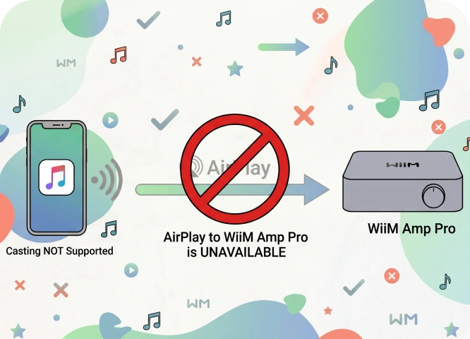 WiiM Amp Pro the best 1 amp pro
