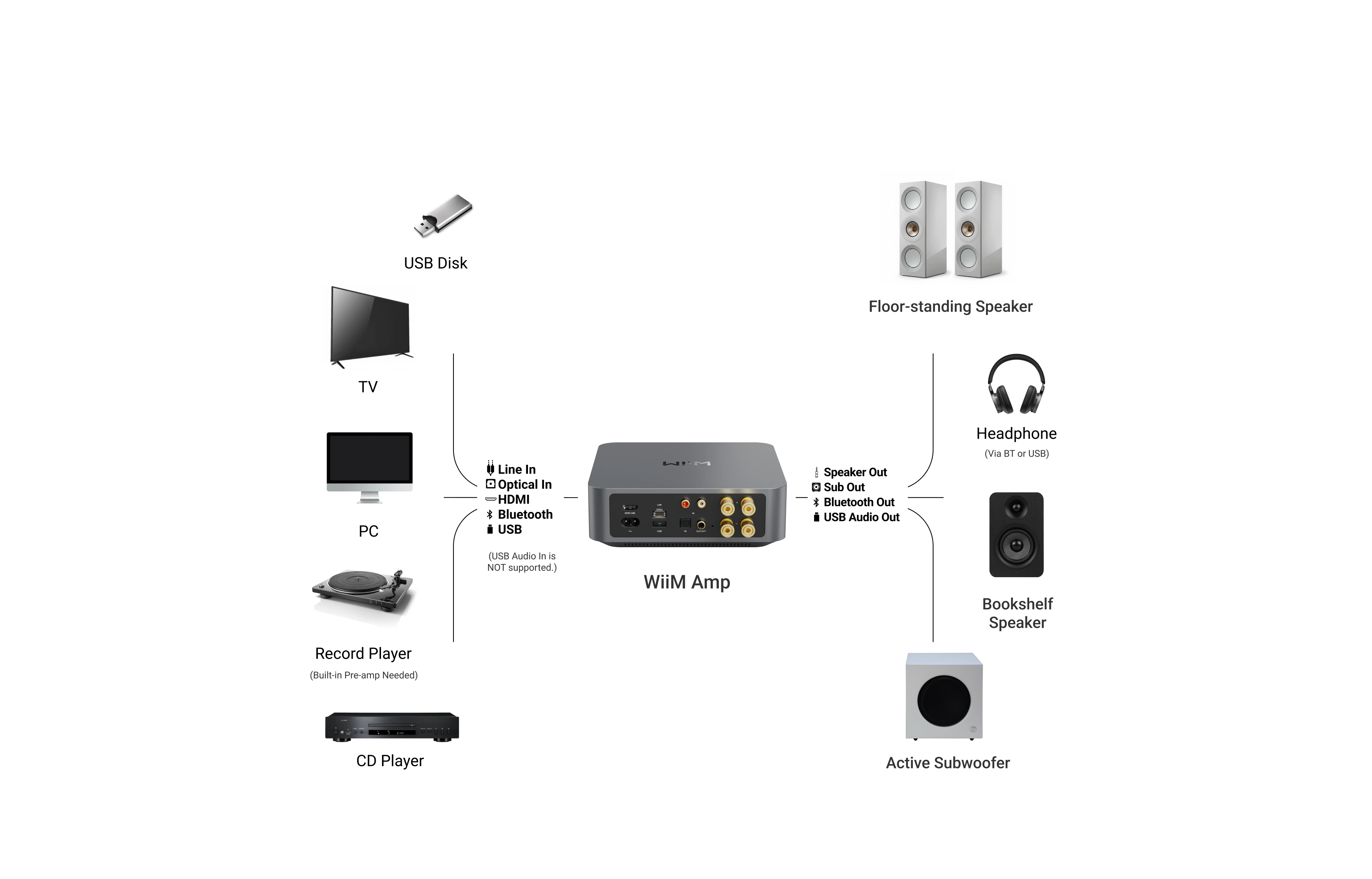 WiiM Amp versatile connectivity