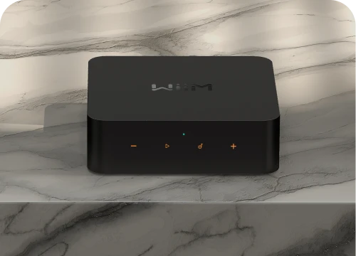 WiiM Pro Plus