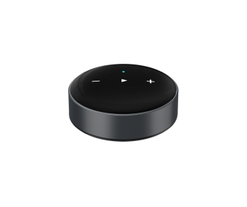 WiiM Mini